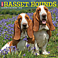 2026 Willow Creek Press Animals Monthly Wall Calendar, 12" x 12", Basset Hounds, January To December, 50095 1 thumbnail image
