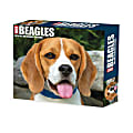 2025 Willow Creek Press Daily Desk Box Calendar, Animals, 5-1/2” x 6-1/4”, Just Beagles, January To December, 40652 1 thumbnail image