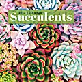 2024 TF Publishing Scenic Monthly Wall Calendar, 12” x 12”, Succulents, January To December