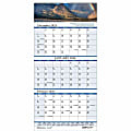House of Doolittle Scenic 3-month Wall Calendar - Julian Dates - 14 Month - December 2023 - January 2025 - HOD3638 1 thumbnail image