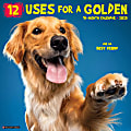 2025 Willow Creek Press Animals Monthly Wall Calendar, 12” x 12”, 12 Uses for a Golden, January To December, 41178 1 thumbnail image