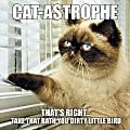 Willow Creek Press 5-1/2" x 5-1/2" Hardcover Gift Book, Cat-Astrophe 1 thumbnail image