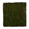 Nearly Natural Moss Mat 20”H Artificial Plant, 20”H x 20”W x 1”D, Green