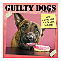 Sandylion 16-Month Wall Calendar, 12" x 12", Guilty Dog, September 2019 To December 2020 1 thumbnail image