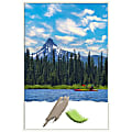Amanti Art Lucie White Wood Picture Frame, 25" x 37", Matted For 24" x 36" 1 thumbnail image