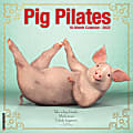 Willow Creek Press Animals Monthly Wall Calendar, 12" x 12", Pig Pilates, January to December 2022, 21286 1 thumbnail image