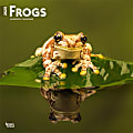 2025 BrownTrout Frogs Monthly Plastic-Free Square Wall Calendar, 12" x 12", Wildlife, January to December 2025, 9781975476991 1 thumbnail image