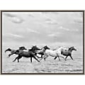 Amanti Art Horse Run I by PHBurchett Framed Canvas Wall Art Print, 24" x 18", Graywash 1 thumbnail image