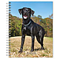 2023-2024 BrownTrout 16-Month Weekly/Monthly Engagement Planner, 7-3/4" x 7-3/16", Black Labrador Retrievers, September To December