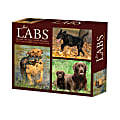 2026 Willow Creek Press Page-A-Day Daily Desk Calendar, 6-1/4" x 5-1/2", Just Labs, January To December, 54277 1 thumbnail image