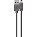 Belkin Mini USB/USB Data Transfer Cable - 5.91 ft Mini USB/USB Data Transfer Cable - First End: USB 2.0 Type A - Second End: Mini USB Type B - Black