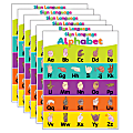 Teacher Created Resources Colorful Sign Language Alphabet Charts, 17" x 22", Pack Of 6 Charts 1 thumbnail image