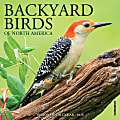 2026 Willow Creek Press Monthly Mini Wall Calendar, 7" x 7", Backyard Birds, January To December, 53447 1 thumbnail image