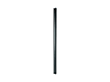 Peerless Fixed Length Extension Column EXT002 - Mounting component (flush mount tube) - for TV or projector - steel - black - for Peerless ACC 912 Lightweight Cathedral Ceiling; Vector Pro PJC 100 1 thumbnail image