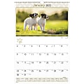 AT-A-GLANCE® Puppies Monthly Wall Calendar, 15-1/2" x 22-3/4", January To December 2022, DMW16728