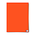 Royal Brites Poster Board, 22" x 28", Neon Orange