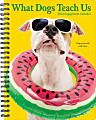 2024 Willow Creek Press Weekly Engagement Planner, 6-1/2" x 8-1/2", What Dogs Teach Us, January To December