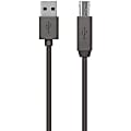 Belkin USB Data Transfer Cable - 5.91 ft USB Data Transfer Cable - First End: USB 2.0 Type A - Second End: USB Type B - Black 1 thumbnail image