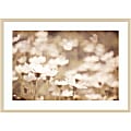 Amanti Art Daisies I Neutral by Elizabeth Urquhart Wood Framed Wall Art Print, 30”H x 41”W, Natural 1 thumbnail image