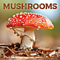 2026 Willow Creek Press Monthly Mini Wall Calendar, 7" x 7", Mushrooms, January To December, 53652 1 thumbnail image