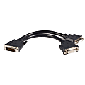 StarTech.com LFH 59 Male to Dual Female DVI I DMS 59 Cable - Connect two DVI monitors to your DMS / LFH equipped graphics card. - dms-59 to dual dvi cable - dms-59 to dual dvi adapter - dms to dvi cable