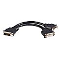 StarTech.com LFH 59 Male to Dual Female DVI I DMS 59 Cable - Connect two DVI monitors to your DMS / LFH equipped graphics card. - dms-59 to dual dvi cable - dms-59 to dual dvi adapter - dms to dvi cable 1 thumbnail image