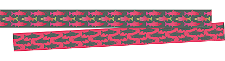 Barker Creek Double-Sided Border, 3" x 35", Sea & Sky Salmon, Pack Of 24 Strips