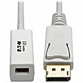 Eaton Tripp Lite Series 6in DisplayPort to Mini DisplayPort Adapter Cable 4k x 2k @ 60Hz M/F 6" - DisplayPort adapter - P13406NMDP 1 thumbnail image