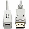 Tripp Lite 6in DisplayPort To Mini DisplayPort Adapter Cable, White