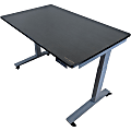 Rise Up® Electric 48"W Standing Computer Desk, Gray