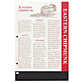 C-Line® Clear Poly Side-Load Sheet Protectors, 8 1/2" x 11", Box Of 50 1 thumbnail image