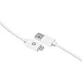 iEssentials Lightning/USB Data Transfer Cable - 6 ft Lightning/USB Data Transfer Cable - First End: Lightning - Second End: USB - White