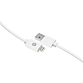 iEssentials Lightning/USB Data Transfer Cable - 6 ft Lightning/USB Data Transfer Cable - First End: Lightning - Second End: USB - White 1 thumbnail image
