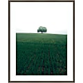 Amanti Art The Lonely Oak Tree by Christian Lindsten Wood Framed Wall Art Print, 33”W x 41”H, Gray