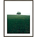 Amanti Art The Lonely Oak Tree by Christian Lindsten Wood Framed Wall Art Print, 33”W x 41”H, Gray 1 thumbnail image