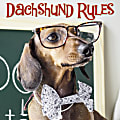 Willow Creek Press 5-1/2" x 5-1/2" Hardcover Gift Book, Dachshund Rules