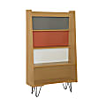 Linon Caden 49"H 4-Shelf Home Office Bookcase, Multicolor