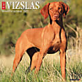 Willow Creek Press Animals Monthly Wall Calendar, 12" x 12", Just Vizslas, January to December 2022, 19955 1 thumbnail image
