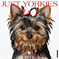 2024 Willow Creek Press Animals Monthly Wall Calendar, 12" x 12", Just Yorkies, January To December