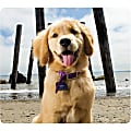 Fellowes Recycled Mouse Pad - Puppy at Beach - Puppy - 8" x 9" x 0.06" Dimension - Multicolor - Rubber Base - Slip Resistant, Scratch Resistant, Skid Proof