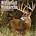 2025 Willow Creek Press Monthly Wall Calendar, 12" x 12", Whitetail Monarchs (Deer), January 2025 to December 2025, 45428