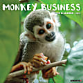 2024 Willow Creek Press Humor & Comics Monthly Wall Calendar, 12" x 12", Monkey Business, January To December
