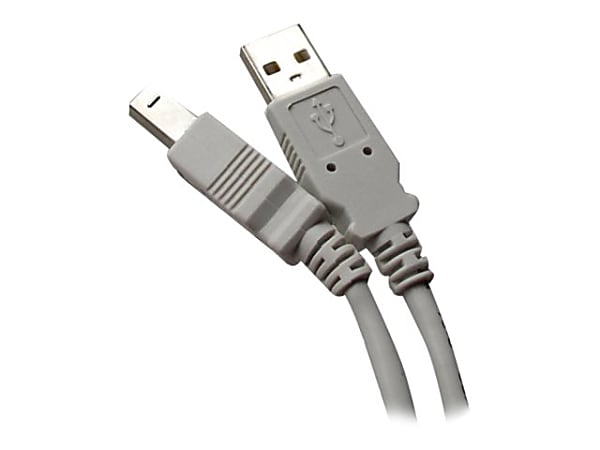 Professional Cable USB-06 - USB cable - USB Type B (M) to USB (M) - USB 2.0 - 6 ft - gray