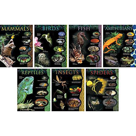 Creative Teaching Press® Animal Classifications Charts, Grade 1-3, Pack Of 7