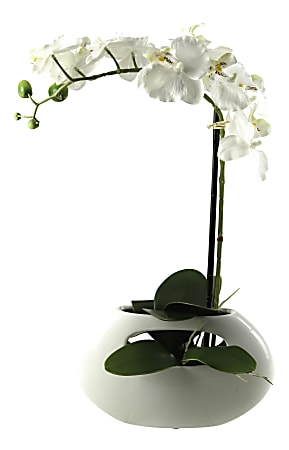 Realspace™ 20" Orchid Plant With Ceramic Pot, Multicolor