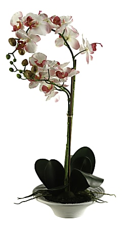 Realspace™ 20" Orchid Plant With Ceramic Bowl, Multicolor