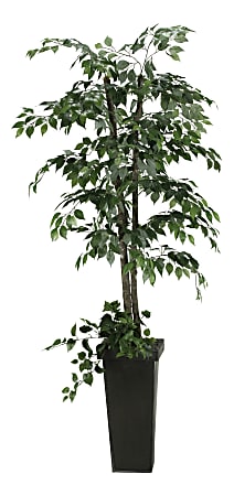 Realspace™ 7' Ficus Tree With Metal Planter, Black/Green