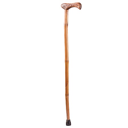 Brazos Walking Sticks™ Free Form Iron Bamboo Walking Cane, 37", Red