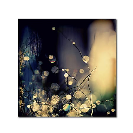 Trademark Global Fairies At Nighttime Gallery-Wrapped Canvas Print By Beata Czyzowska-Young, 24"H x 24"W