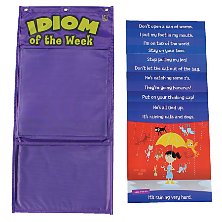 Learning Resources Idiom Of The Week Pocket Chart, 13" x 28", Purple, Grade 3 - Grade 12
